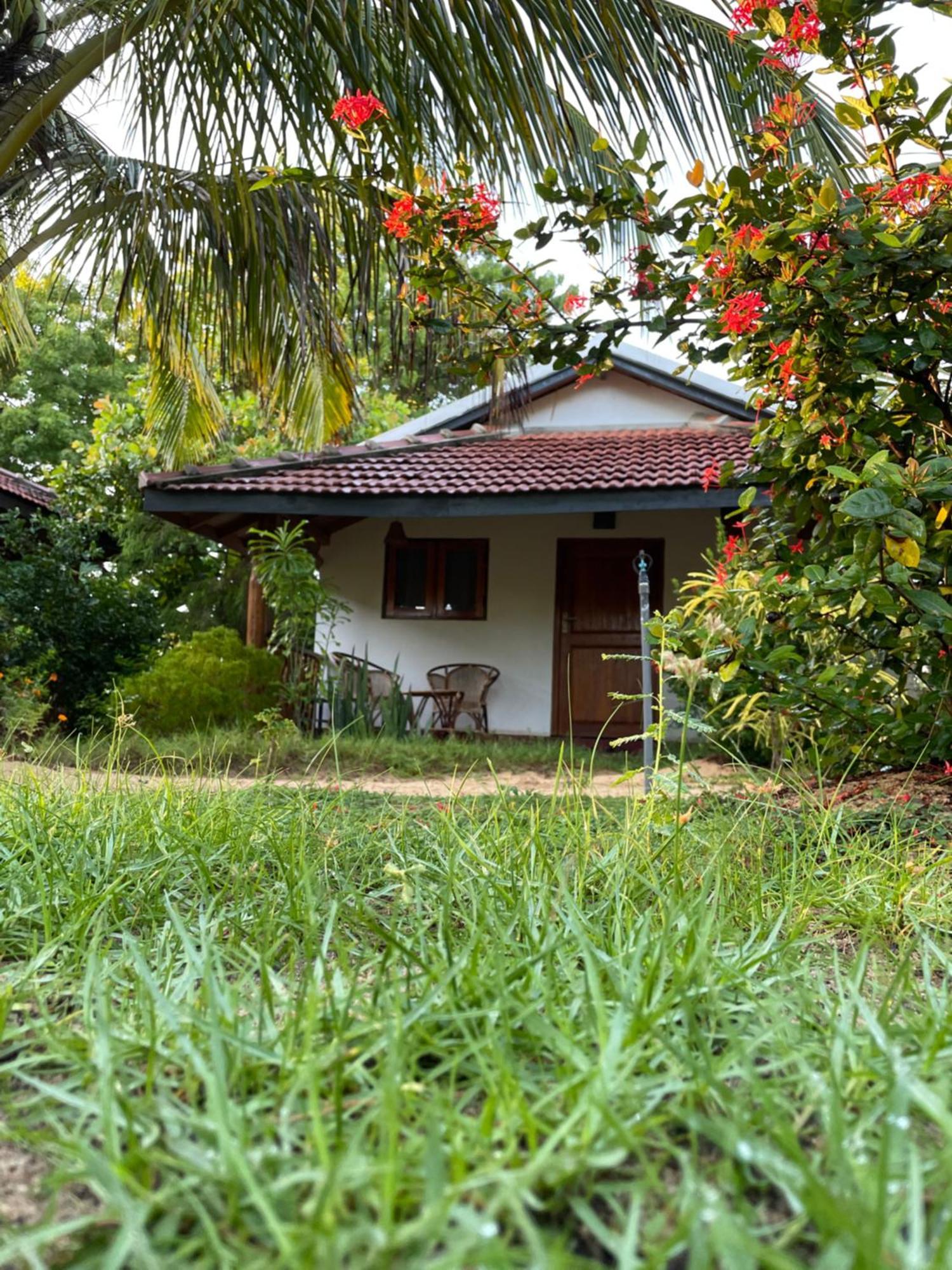 Prime Surfers Bungalow Arugam Bay Zewnętrze zdjęcie